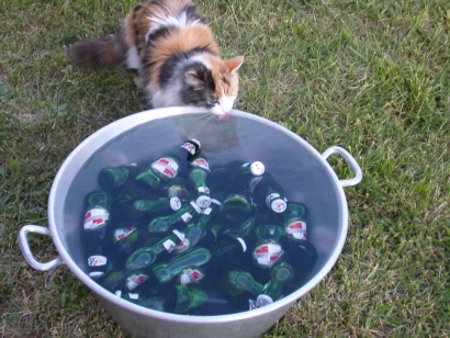 MINETTE$???