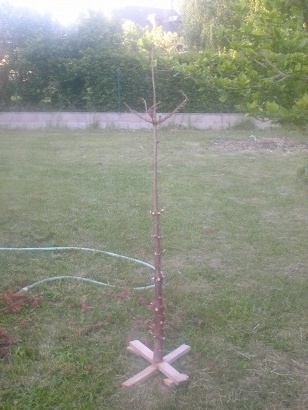 couik le sapin!^^